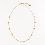 Collier NYSSIA